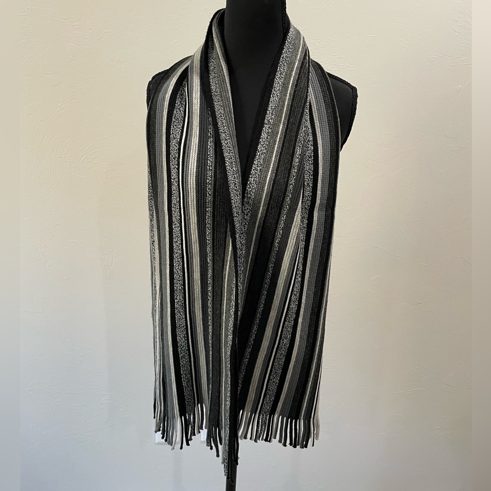Roundtree & Yorke Multi-Striped Knit Scarf